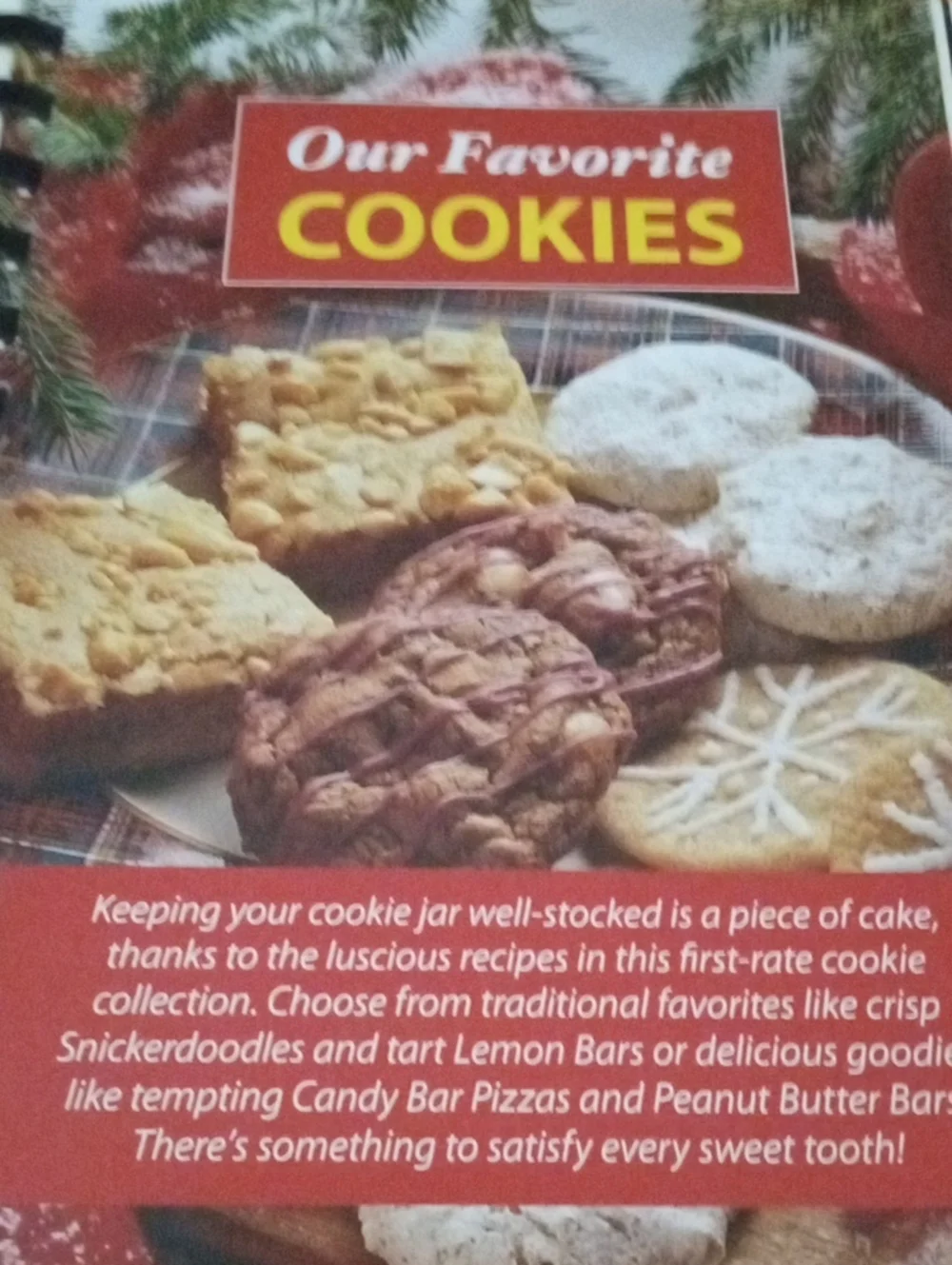 COOKBOOK: Family Living Our Best Cookbook Collection 28 Recipes